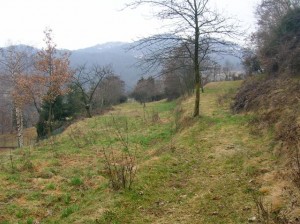 01 - Terreno prima della sistemazione particolare