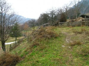 02 - Terreno prima della siatemazione