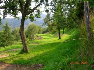 03 - Terreno dopo la sistemazione