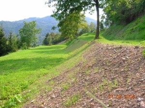 04- Terreno dopo la sistemazione - particolare