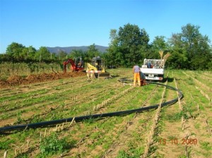 43 - Muscoline - Acquedotto fognatura Fraz Burago 