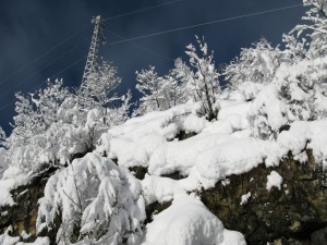 71 -Coccaveglie guesti su linee aeree MT dicembre 2008 (12) 